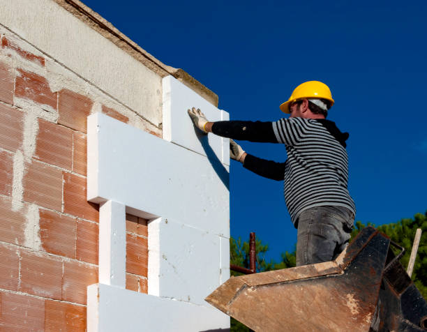 Best Insulation Contractors for Homes  in Linden, TX