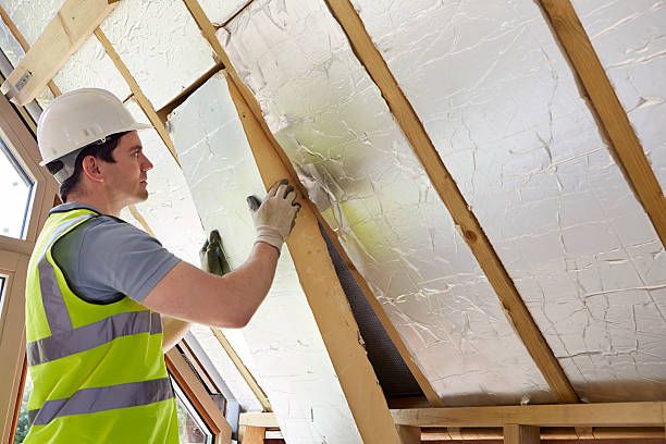 Best Insulation Contractor Near Me  in Linden, TX